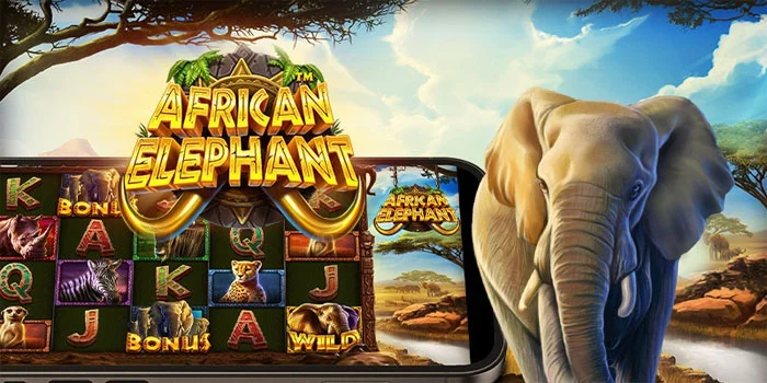 African Elephant – Berpetualang di Savana Afrika yang Seru