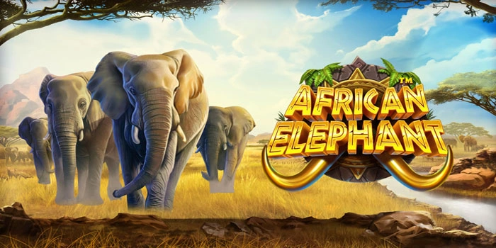 Rahasia Menang Dengan Bonus Alam Liar di Slot African Elephant